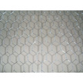 Hot Dipped Galvanized Hexagonal Wire Netting